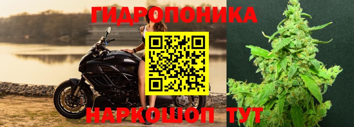 Марихуана Bruce Banner Валуйки